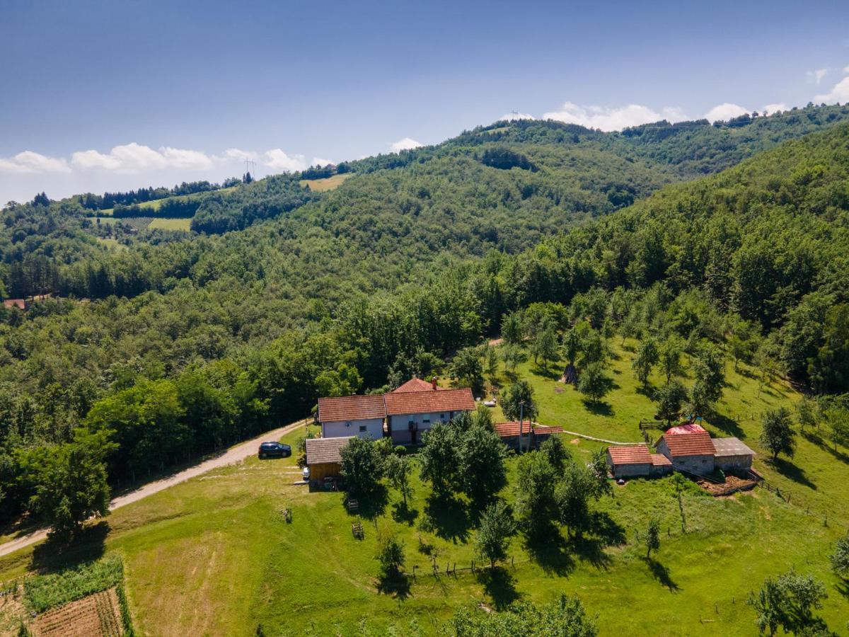Kuca Za Odmor Dm Villa Bajina Basta Exterior photo